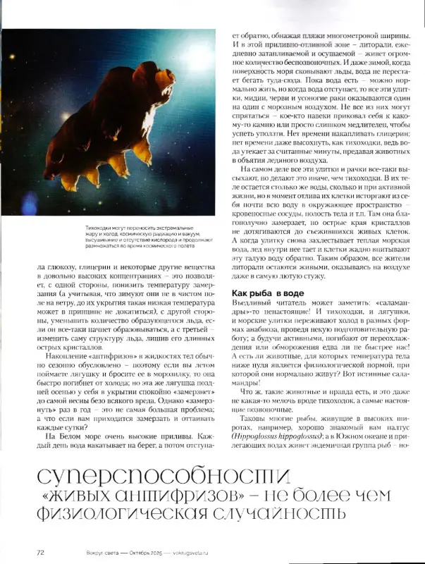 Вокруг Света 08/25 (октябрь)