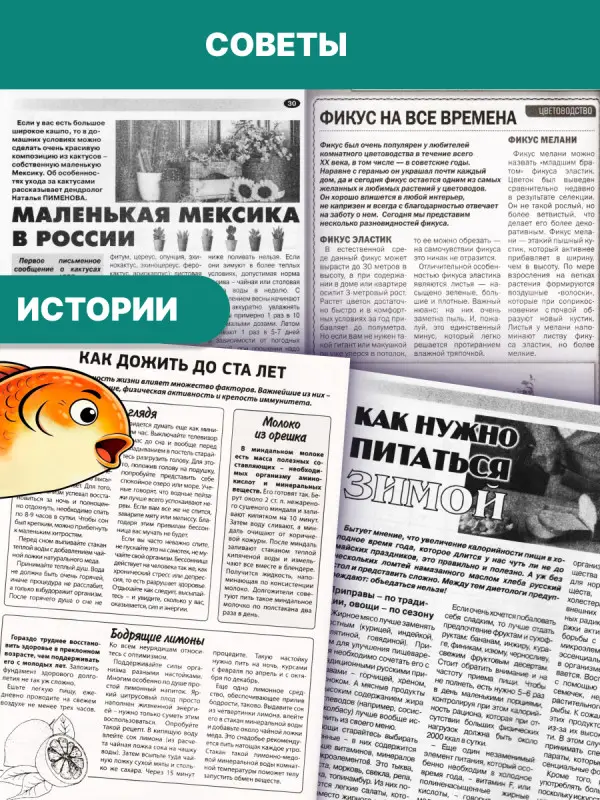 W0725 Набор сканвордов из 6 №2