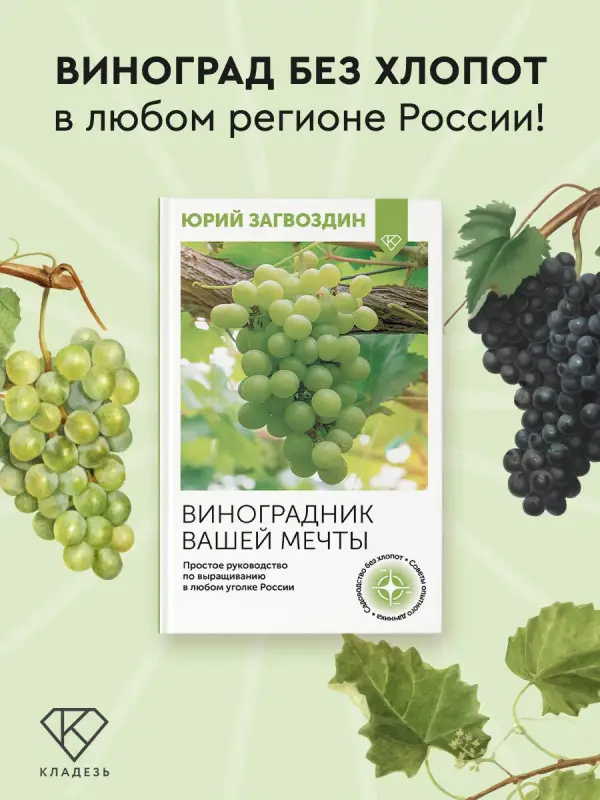 Загвоздин Юрий Максимович: Виноградник вашей мечты. Простое руководство по выращиванию в любом уголке России