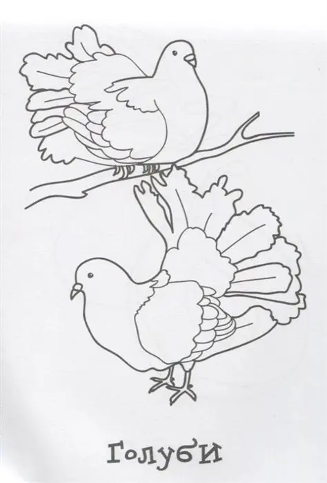 Веселые картинки. Раскраска (оранжевая)