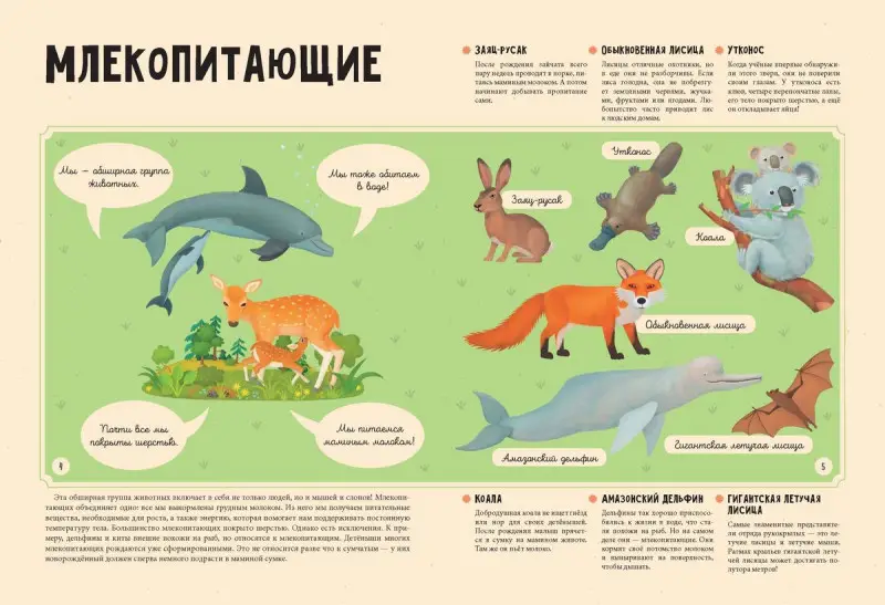 Животные