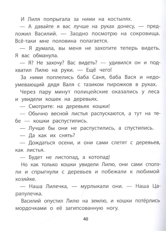 41-я кошка дп