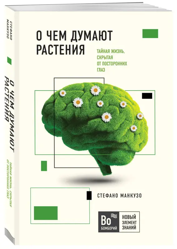 Стефано Манкузо, Виола Алессандра. О чем думают растения
