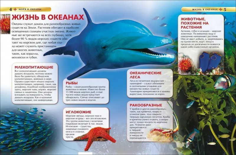 Уценка. Моря и океаны. Детская энциклопедия