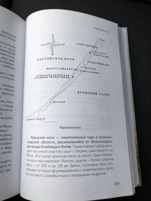 Уценка. Джейн Бартош: #В_поисках_янтарного_счастья