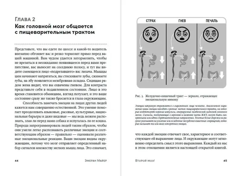 Майер Эмеран: Второй мозг. Как микробы в кишечнике управляют нашим настроением, решениями и здоровьем