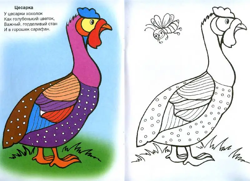 Уценка. Лопатина Александра Александровна: Птичий двор