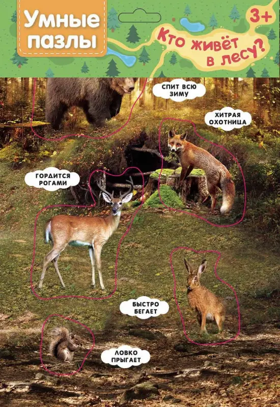 Умные пазлы. Кто живет в лесу?