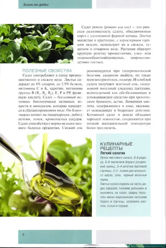 Моя чудесная дача. Том 5. Зелень на грядке