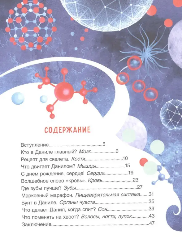 Тело человека