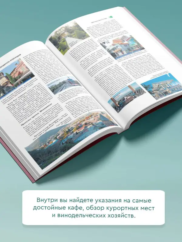 Мухранов Алексей Николаевич: Грузия. Путеводитель пешеходам