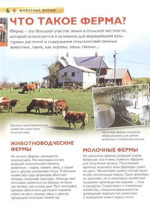 Уценка. Животные фермы. Детская энциклопедия