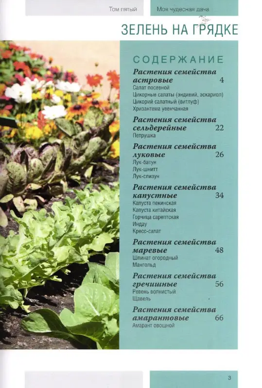 Моя чудесная дача. Том 5. Зелень на грядке