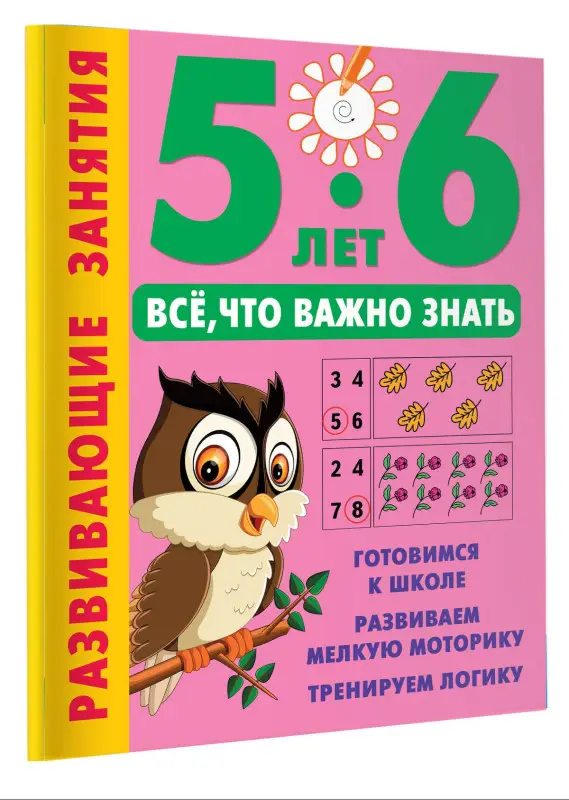 Уценка.Дмитриева Валентина Геннадьевна: Развивающие занятия. Всё, что важно знать. 5-6 лет