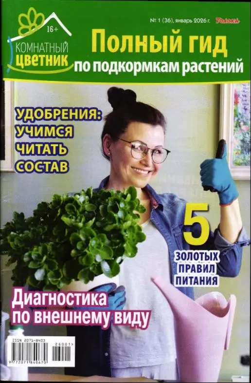 Комнатный цветник 01/26