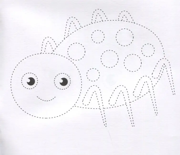 Жучки. Обведи и раскрась. Книжка-раскраска