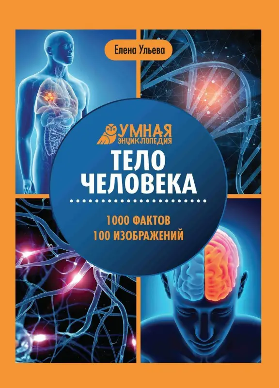 Уценка. Елена Ульева: Тело человека: энциклопедия (-36737-7)