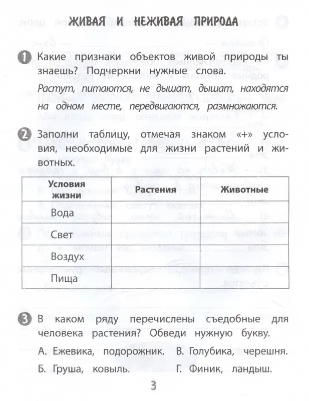 Кучук Оксана Владимировна, Цуканова Елизавета Алексеевна: Окружающий мир. 2 класс. Тренажер