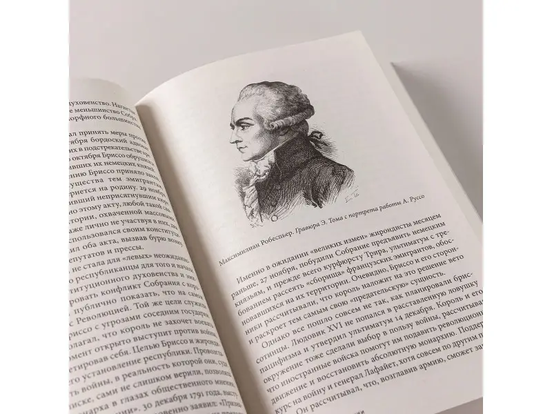 Бовыкин Дмитрий Юрьевич, Чудинов Александр Викторович: Французская революция