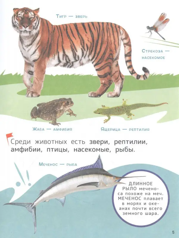 Животные. Энциклопедия для первого чтения с крупными буквами