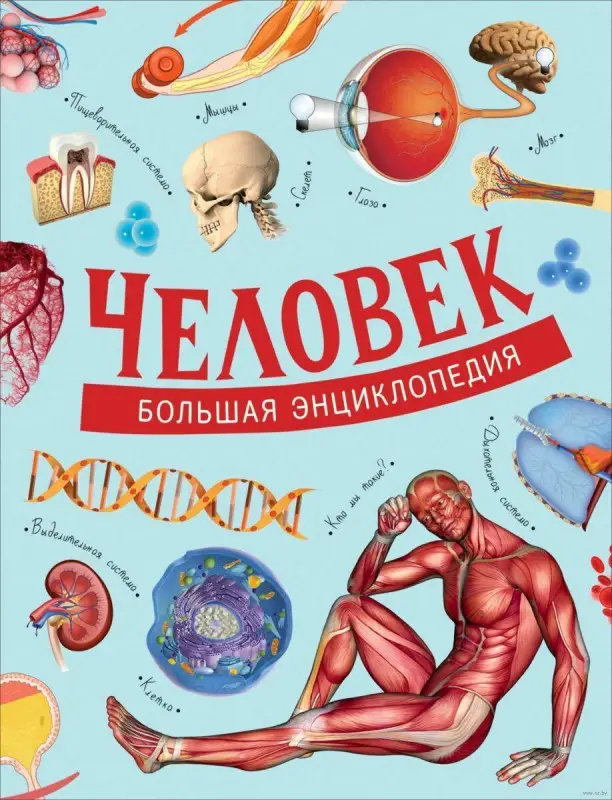 Уценка. Человек. Большая энциклопедия