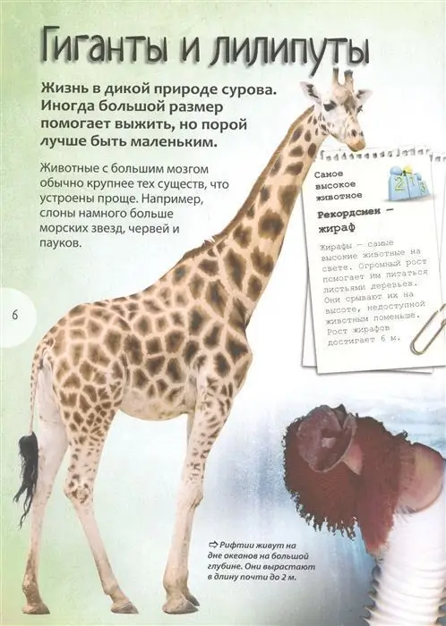 Уценка. Животные. Энциклопедия удивительных фактов