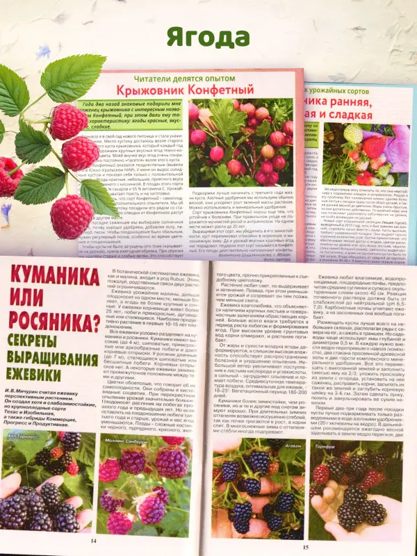 W0809 Набор журналов "Приусадебное хозяйство. Цветы. Советы дачнику", 5 журналов