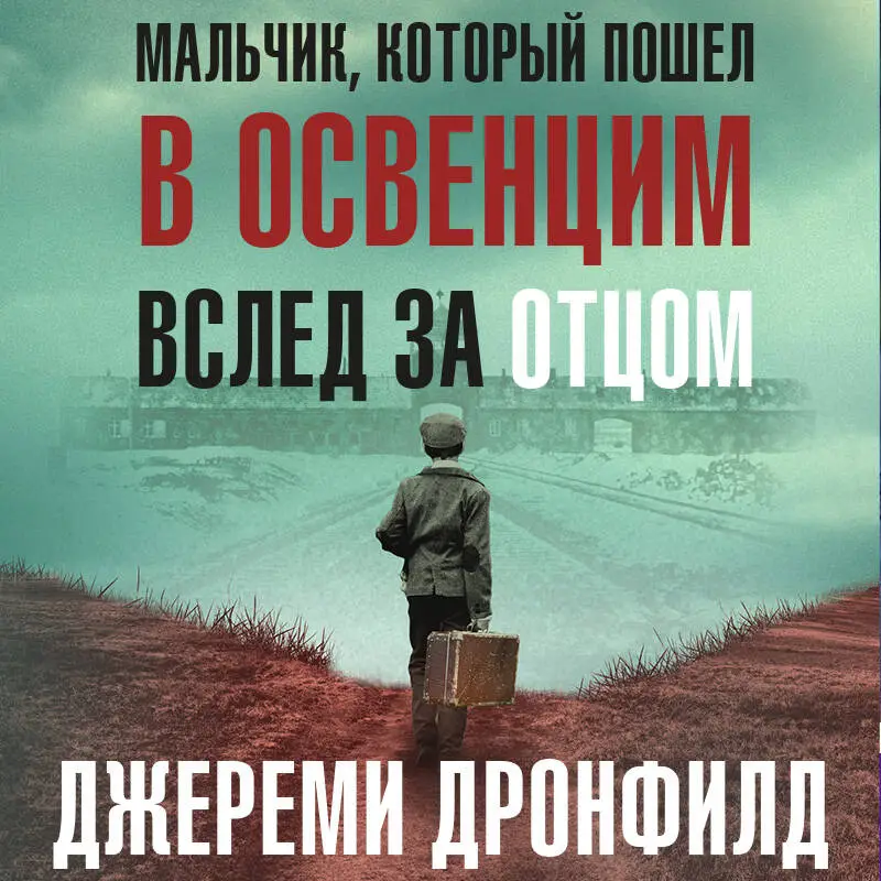 Уценка. Джереми Дронфилд. Мальчик, который пошел в Освенцим вслед за отцом. Реальная история