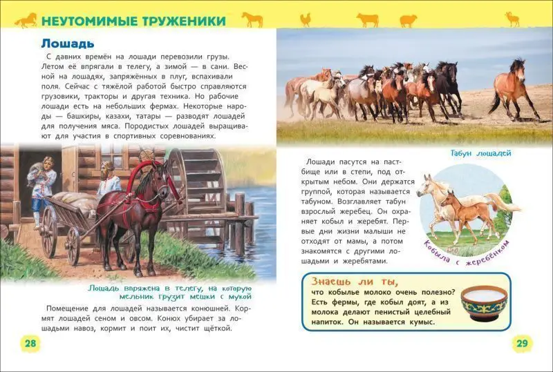 Животные фермы. Энциклопедия для детского сада