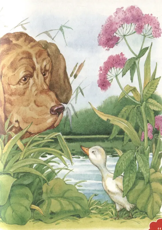 Х.-К. Андерсен. Лучшие сказки (СЛК)