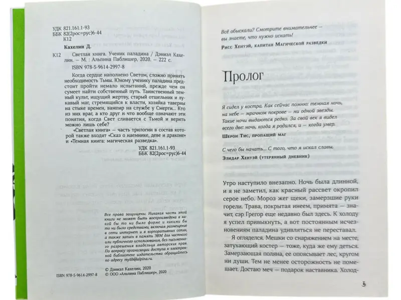 Светлая книга: Ученик паладина