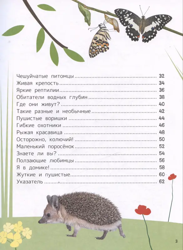 Тяжелкова Кира Егоровна: Домашние любимцы. Энциклопедия для первого чтения с крупными буквами