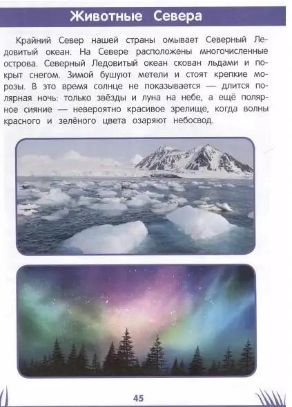 Этери Заболотная: Энциклопедия дошкольника. 5-6 лет