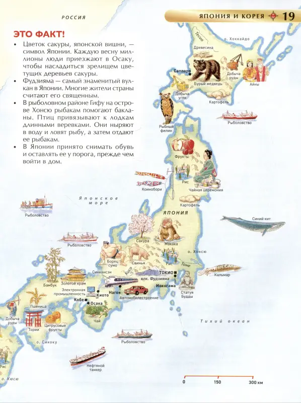 Атлас мира. Детская энциклопедия. Познавательная книга для младших школьников от 7 лет