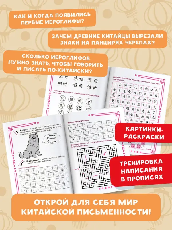 Уценка.Анашкина Алина Алексеевна: Учу китайский язык. Обучающие прописи