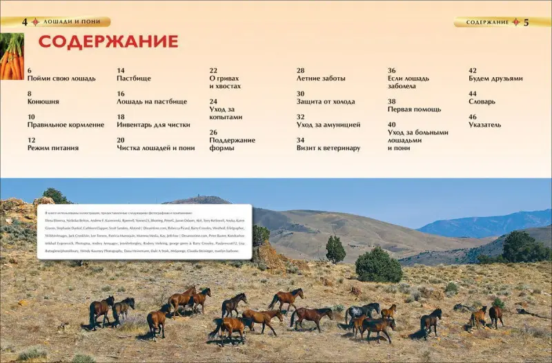 Уценка. Лошади и пони.