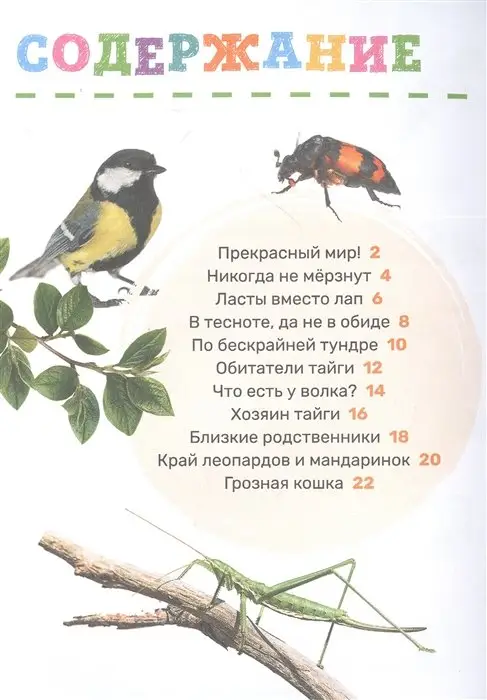 Уценка. Животные. Первая энциклопедия малыша