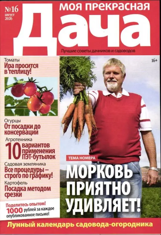 Моя Прекрасная Дача 16/26