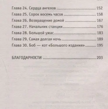 Боб - необычный кот