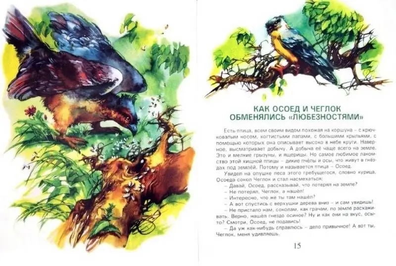 Сказки птички-невелички. Кастрючин В А