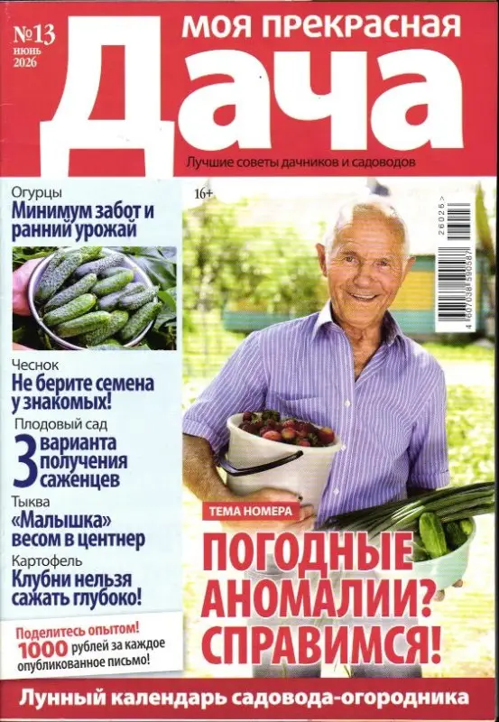 Моя Прекрасная Дача 13/26