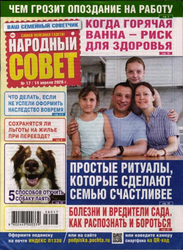 Народный совет 17/26