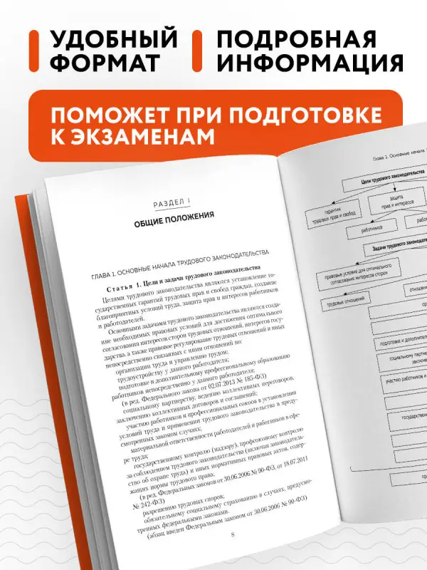 В. А. Шавин. Трудовой кодекс РФ в схемах. Учебное пособие