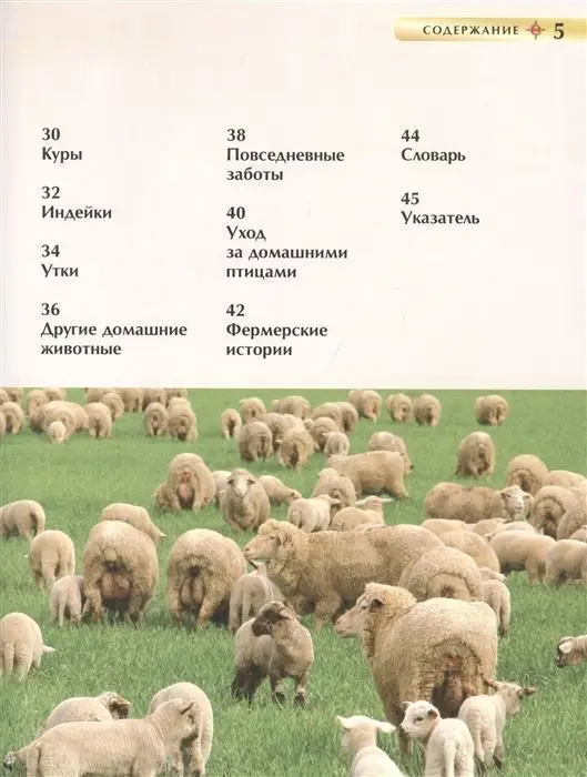 Животные фермы. Детская энциклопедия (978-5-353-09585-9)