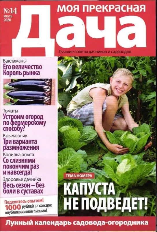 Моя Прекрасная Дача 14/26