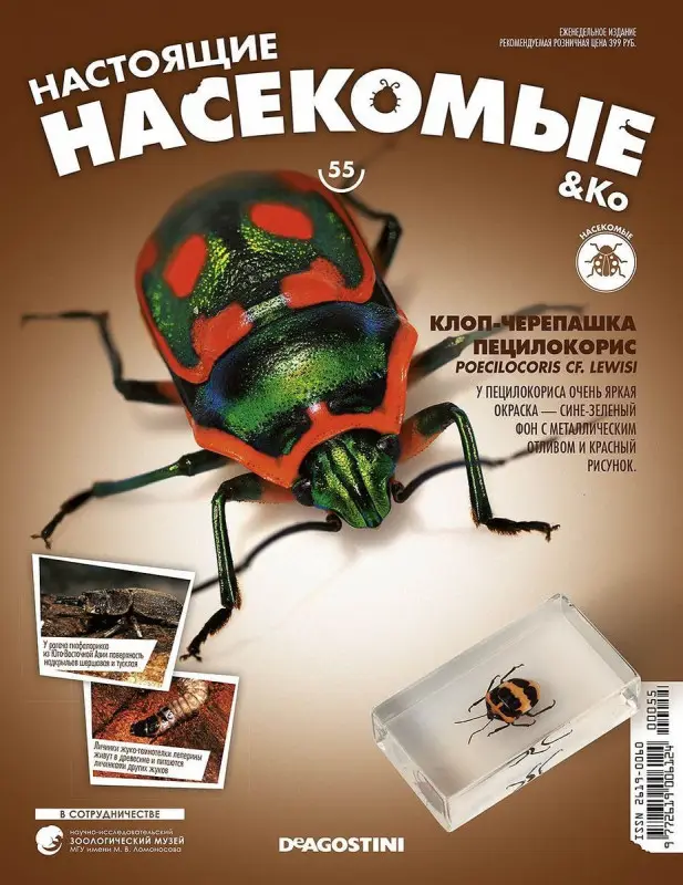 Журнал № 55 "Настоящие насекомые" (Клоп-черепашка пецилокорис )