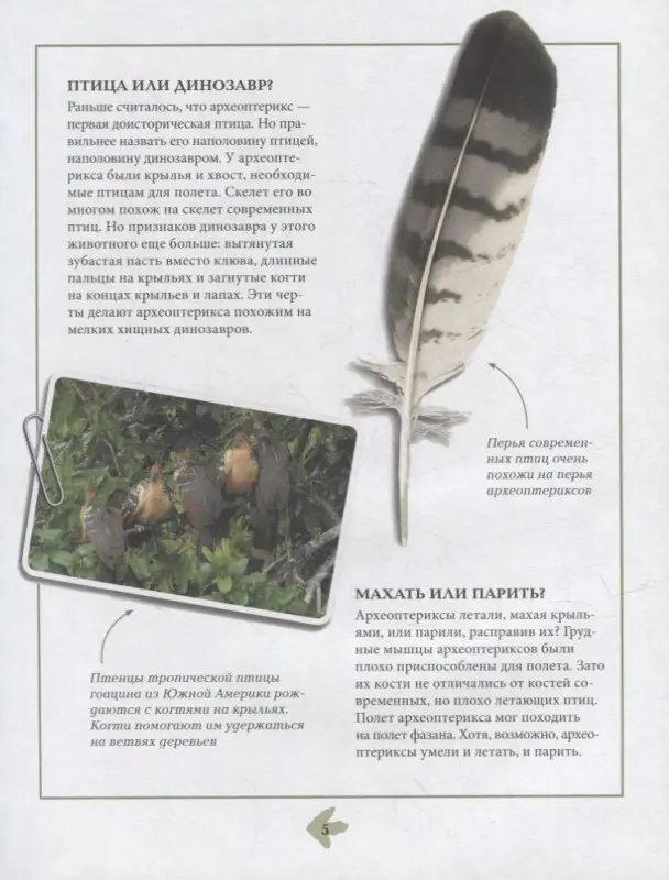 Динозавры. Энциклопедия в комиксах. Свирепые хищники