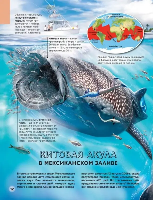 Моря и океаны. Иллюстрированный атлас