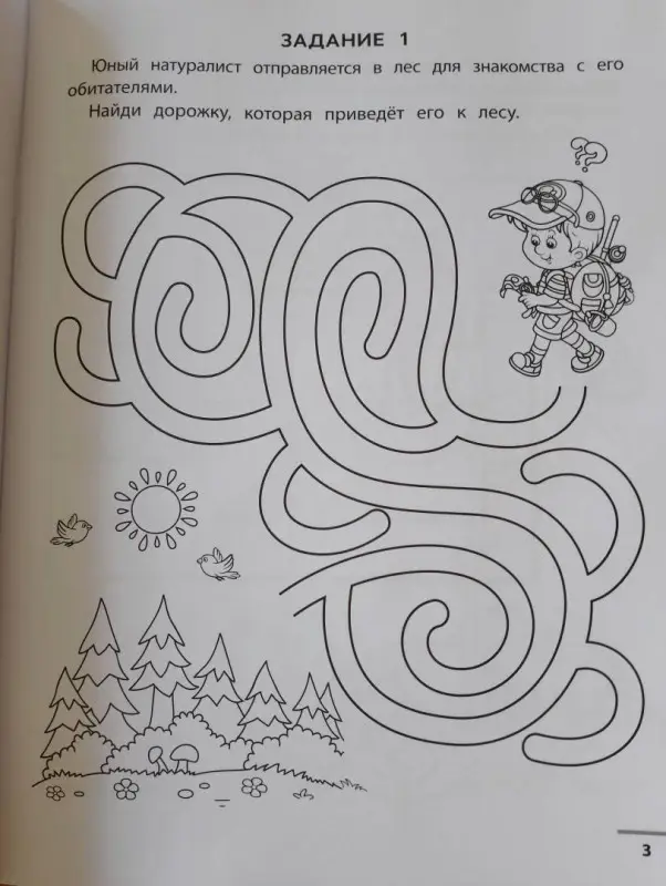 Екатерина Малышева: Лесные ходилки-бродилки. Развиваем зрительно-моторную координацию. 4+