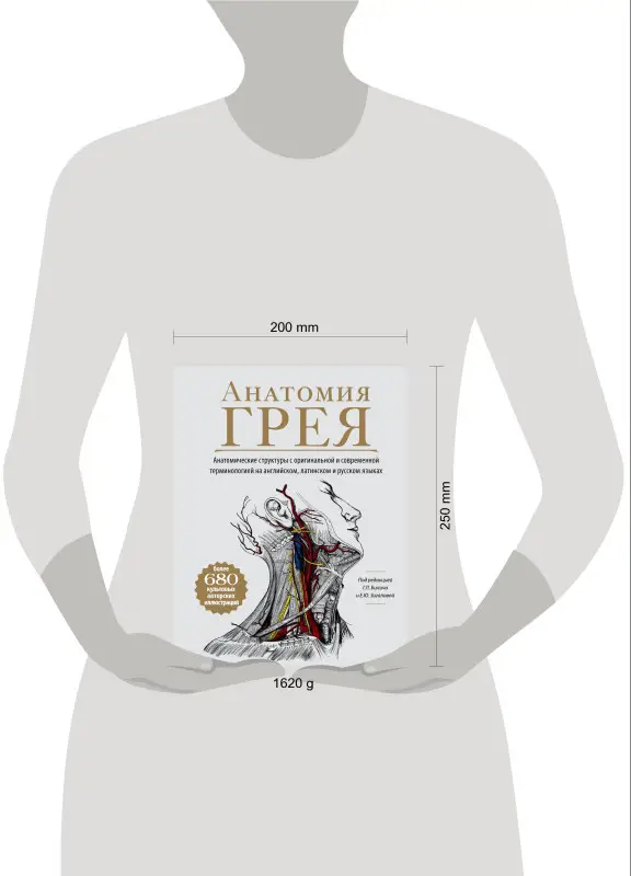 Г.Билич, Е.Зигалова. Анатомия Грея. Анатомические структуры с оригинальной и современной терминологией на англ., латинском и русском языках